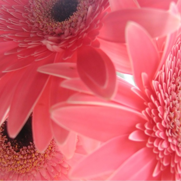 LOVES a good offer. FastShipper. ExtraGift. Happy Poshing! - Picture 3 of 5